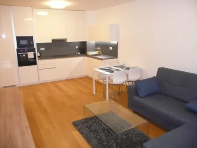 Byty na prenájom 1-izbový, Bratislava-Staré Mesto · €750