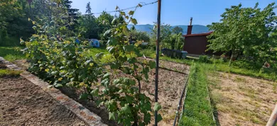Na predaj pozemok, 306 m², Zvolen, Prachatická