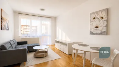 Na prenájom 2-izbový byt, 44 m², Žilina, Rosinská