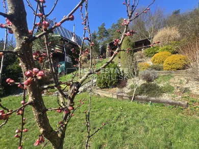 Na predaj rekreačný dom, 609 m², Púchov, Sasmoty