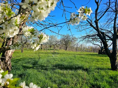 Pozemky na predaj, Levice · €15 000
