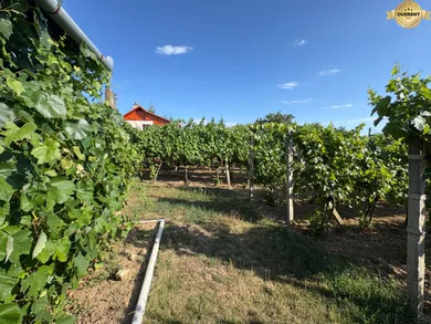 Na predaj pozemok v Levice · €29 900 · Pôvodný stav