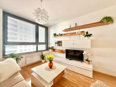 Na prenájom 1-izbový byt, 46 m², Bratislava-Ružinov, Plynárenská