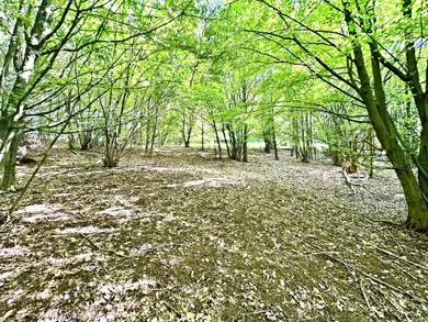 Na predaj pozemok, Vyhne