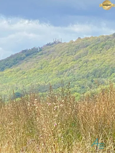 Na predaj pozemok, Košariská
