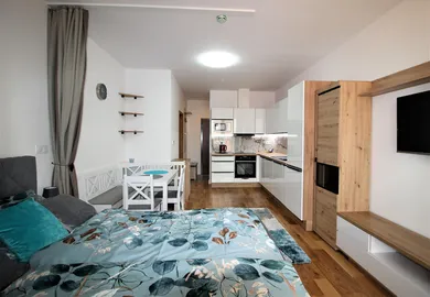 Na prenájom 1-izbový byt, 31 m², Prešov, Baštová