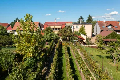 Na predaj 6-izbový dom, 342 m², Stupava, Cementárenská