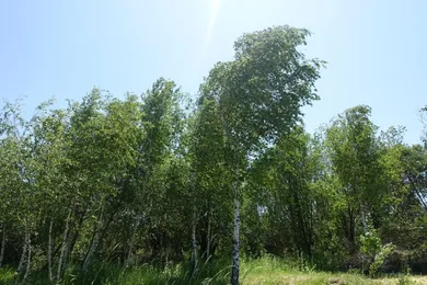 Na predaj pozemok, Košice-Šaca, Ranná
