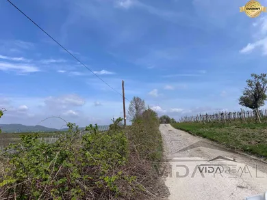 Na predaj pozemok, Modra, Dolná