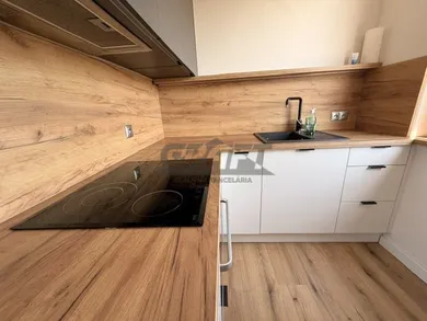 Na prenájom 1-izbový byt, 30 m², Bratislava-Karlova Ves, Tilgnerova