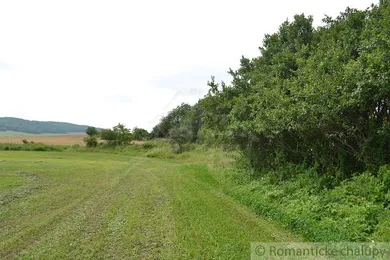 Na predaj pozemok, Smilno