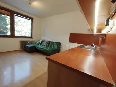 Na prenájom 1-izbový byt, 38 m², Skalica, L. Svobodu