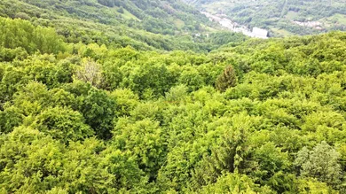 Na predaj pozemok, 43 m², Vyhne