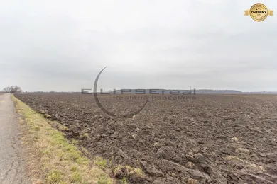 Na predaj pozemok, Zohor, Dolná