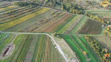 Na predaj pozemok, Pezinok