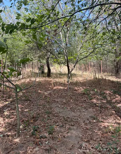 Na predaj rekreačný dom, 25 m², Stupava