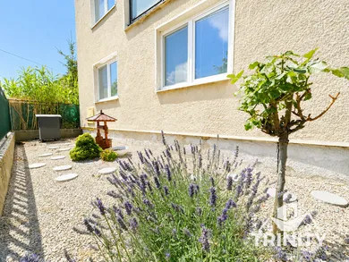 Domy na sprzedaż, 6-pokojowe, Šurany · €185 000
