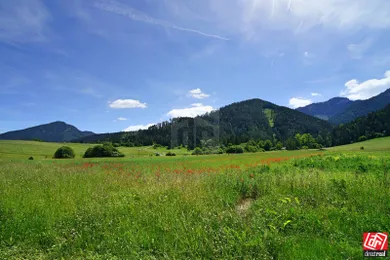 Na predaj pozemok, Lazisko