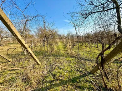 Na predaj pozemok, Hurbanovo, Aba