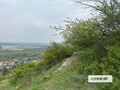 Na predaj pozemok, Bratislava-Devín, K zlatému rohu