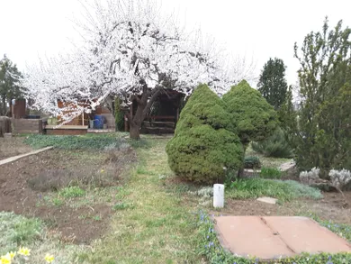 Działki na sprzedaż, Trnava · €23 500
