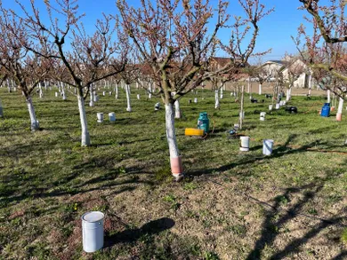 Na predaj pozemok, Branovo, Branovo 135