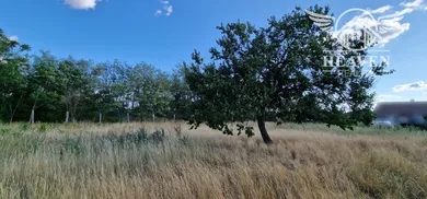 Na predaj pozemok, Marcelová