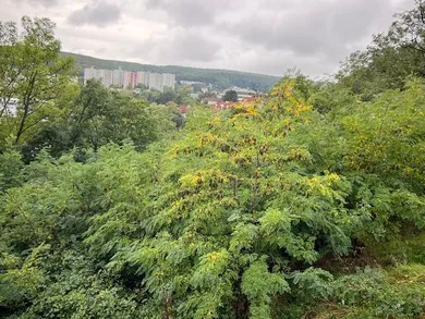 Działki na sprzedaż, Bratislava-Karlova Ves · €1 185 000