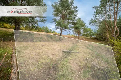 Na predaj pozemok, 700 m², Fintice, Malinová