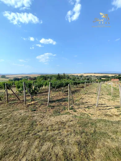 Na predaj pozemok, 250 m², Vráble