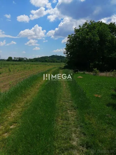 Na predaj pozemok, 80 m², Michalovce, Topolianska