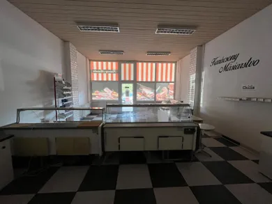 Na prenájom objekt, 134 m², Dunajská Streda, Gen. Svobodu