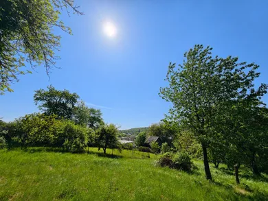 Na predaj pozemok, Kalša