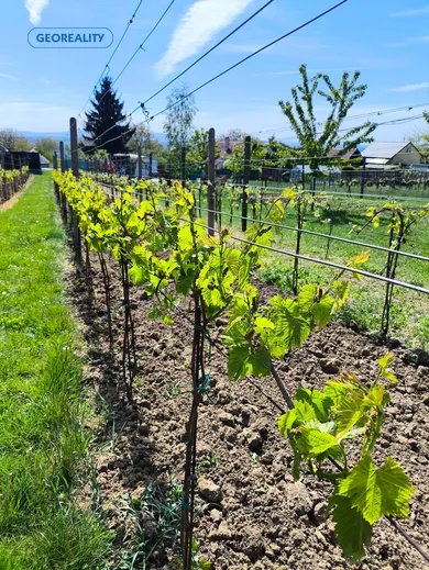 Na predaj pozemok, 72 m², Mýtne Ludany, Viničná cesta