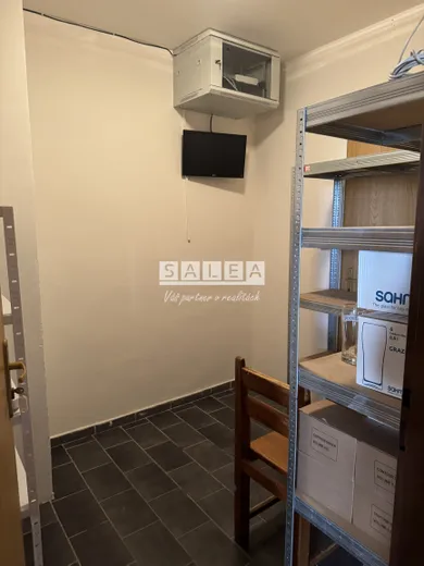 Na prenájom komerčné, 161 m², Šaľa, Slnečná