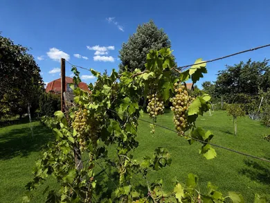 Na predaj 5-izbový dom, 200 m², Zlaté Moravce, Železničiarska