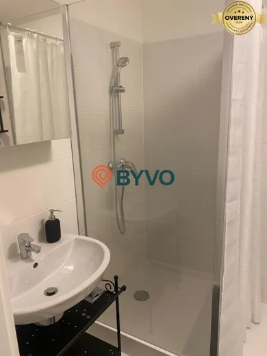 Na prenájom 1-izbový byt, 50 m², Bratislava-Staré Mesto, Lermontovova