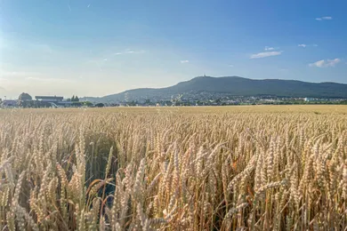 Pozemky na predaj, Nitra · €128 900