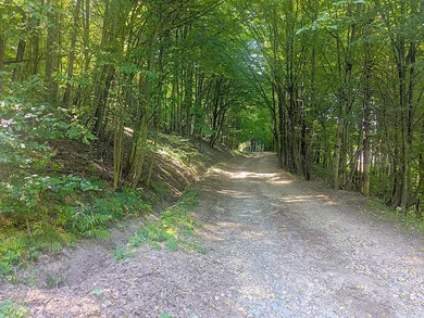 Na predaj 3-izbový rekreačný dom, 150 m², Košická Belá
