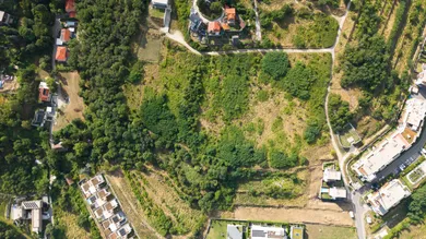 Na predaj pozemok, Bratislava-Nové Mesto, Vtáčie údolie