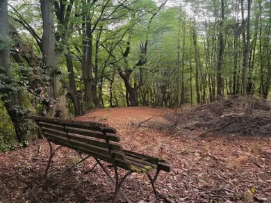 Na predaj rekreačný dom, 60 m², Rudno nad Hronom