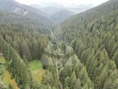Na predaj pozemok, 974 m², Partizánska Ľupča