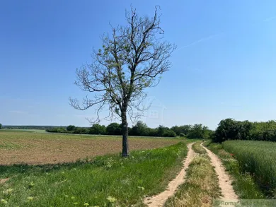 Na predaj pozemok, Bernolákovo