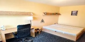 Byty na prenájom 1-izbový, Košice-Sever · €630