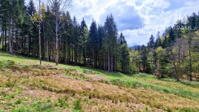 Na predaj pozemok, 200 m², Bystrá, Tále
