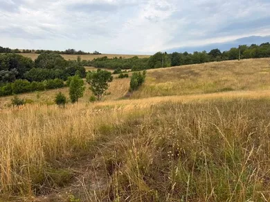 Na predaj pozemok, Polianka