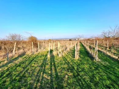 Na predaj pozemok v Vráble · €68 000 · Pôvodný stav
