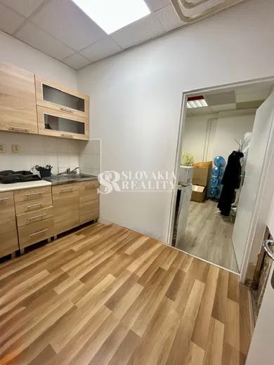 Na prenájom komerčné, 249 m², Nitra