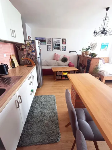 Na prenájom 1-izbový byt, 40 m², Bratislava-Nové Mesto, Nová Rožňavská