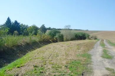 Na predaj pozemok, Krškany